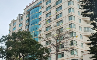 湖州茂名入职体检服务