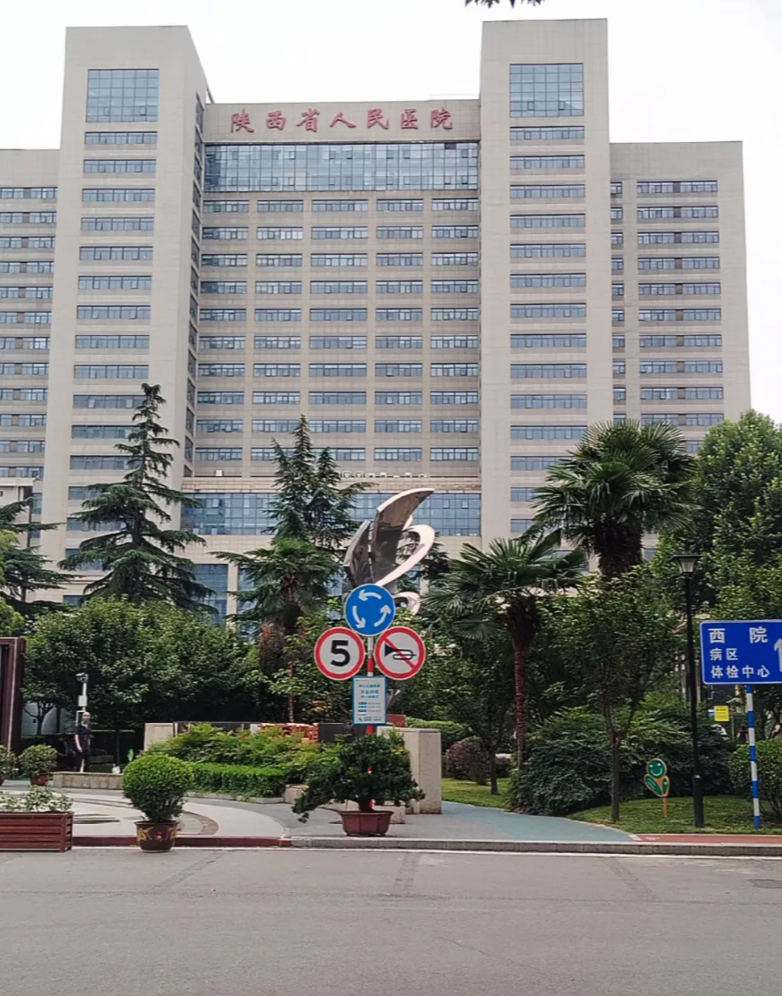 湖州西安体检服务-第1张图片-代解忧