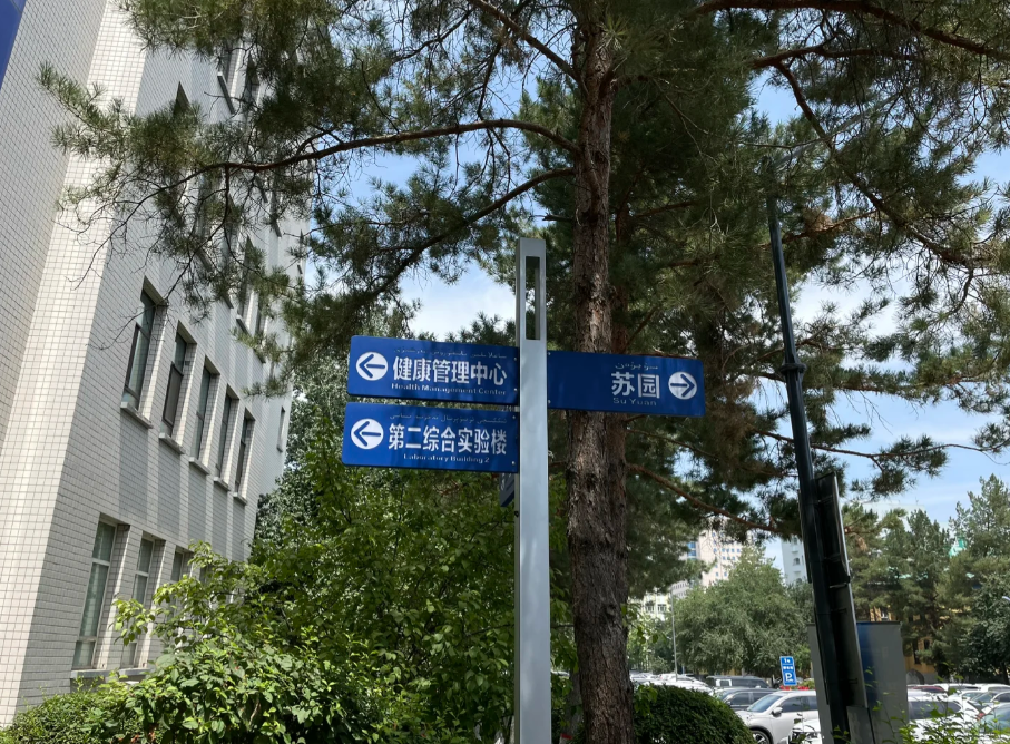 湖州乌鲁木齐入职体检服务-第1张图片-代解忧