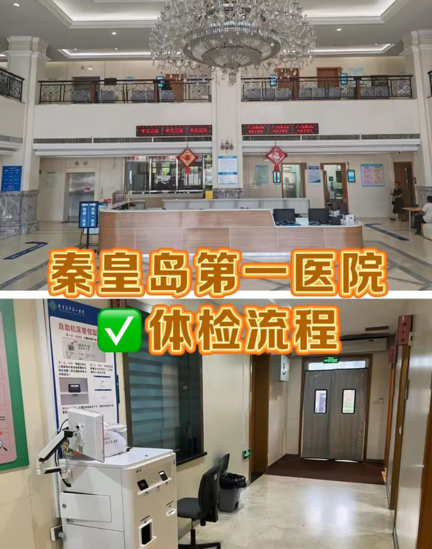 湖州秦皇岛入职体检服务-第1张图片-代解忧