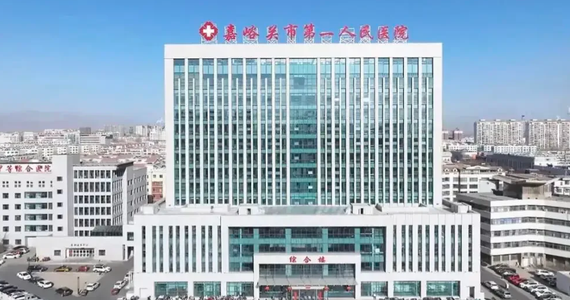 湖州嘉峪关入职体检服务-第1张图片-代解忧