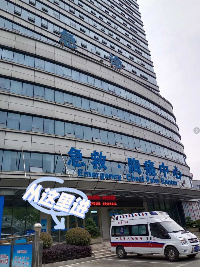 湖州十堰入职体检服务-第1张图片-代解忧